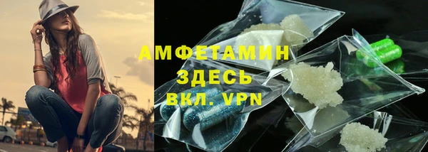 гидра Арсеньев