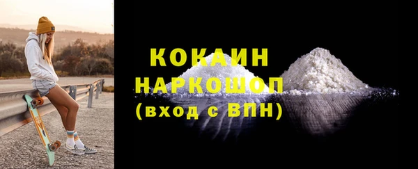 гидра Арсеньев