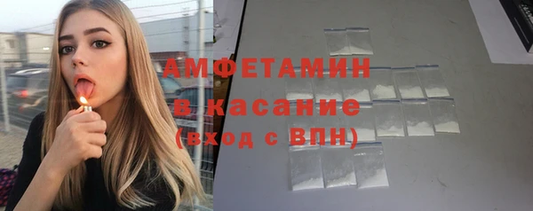 гидра Арсеньев