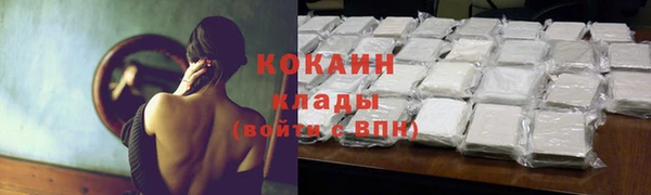 гидра Арсеньев