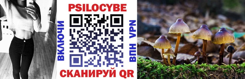 даркнет сайт  Асино  Галлюциногенные грибы Psilocybine cubensis 